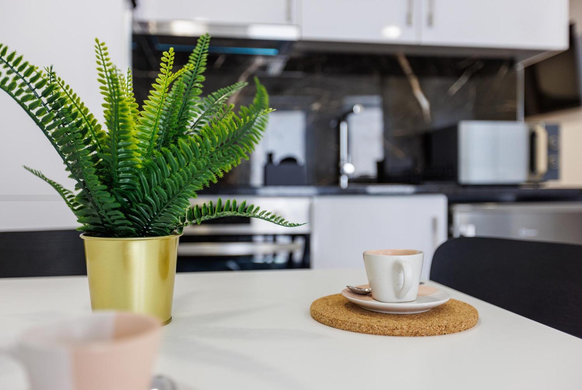 Apartament Live In Aveiro Rossio Zewnętrze zdjęcie